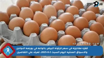 قفزة مفاجئة في سعر كرتونة البيض بأنواعه في بورصة الدواجن والأسواق المحلية اليوم السبت 2-8-2025، تعرف على التفاصيل